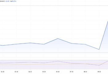 SHELL вырос на 40% после объявления о листинге на Binance