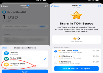 Telegram Stars для комиссий в TON Space: революция в оплате транзакций