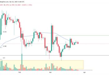 XRP может рухнуть на 50%? Почему трейдеры бьют тревогу