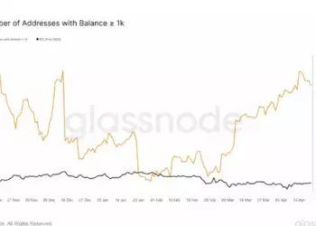 Glassnode: Киты активно закупаются на падении курса биткоина