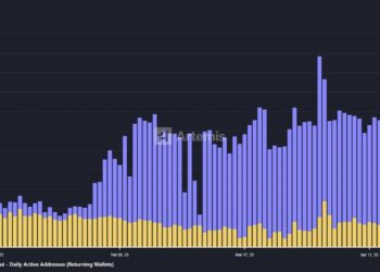 Каждый день в сети Sui появляется более 1 млн новых кошельков