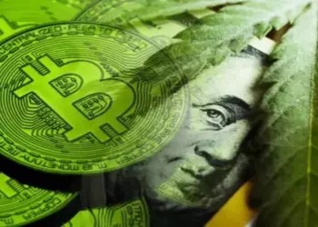 Компания KindlyMD купила 5764 ВТС и вышла на 16 место по запасам биткоинов