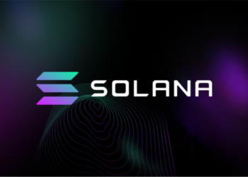 Solana открыла поставки криптофонов Seeker