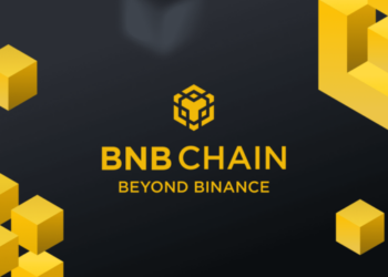 Сеть BNB Chain обошла Solana