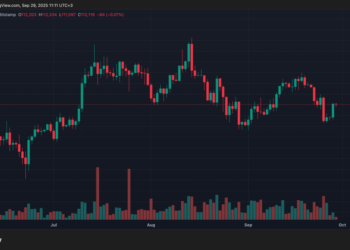 Восстановление биткоина выше $112 000 подтверждает: бычий рынок жив