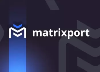 Стейблкоины показали устойчивость при обвале крипторынка — Matrixport