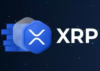Bitwise назвала дату запуска привязанного к криптовалюте XRP биржевого фонда