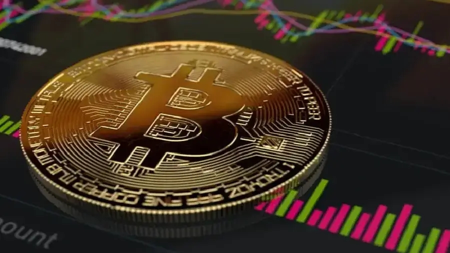 Компания Bitwise пожертвовала $233 000 разработчикам Биткоина
