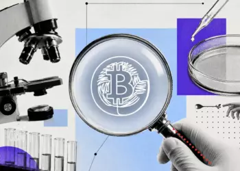 Биткоин-транзакция: как ее прочитать и отследить