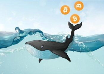 Киты накапливают биткоин на фоне рекордного давления продаж альткоинов Киты накапливают биткоин на фоне рекордного давления продаж альткоинов