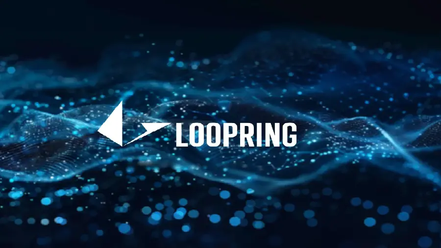 Протокол Loopring закрывает все свои сервисы
