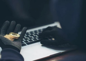 Россиянка лишилась почти 1 млн рублей при попытке заработать на криптовалюте