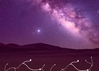 SpaceX купит Cursor за $60 млрд