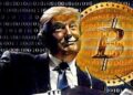 За 500 дней Трампа число биткоин-миллионеров упало на 45 904