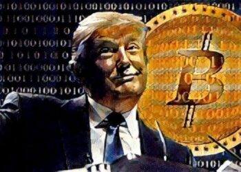За 500 дней Трампа число биткоин-миллионеров упало на 45 904