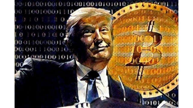 За 500 дней Трампа число биткоин-миллионеров упало на 45 904