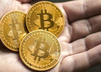 Жительница Хабаровского края потеряла 1,25 млн рублей на криптоинвестициях